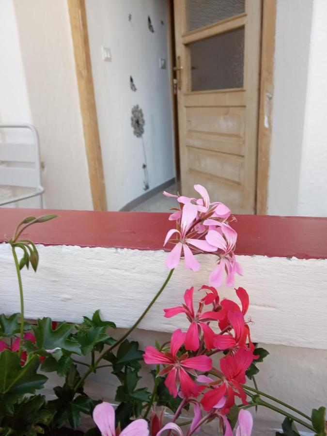 Apartament Da Valentina Castelfondo Zewnętrze zdjęcie